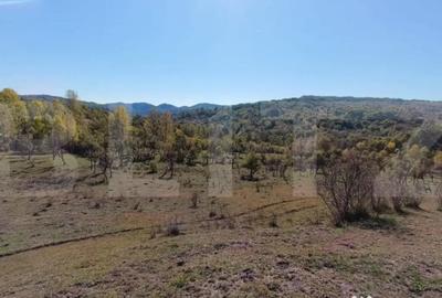 Teren de 7382 mp, în Central - 13