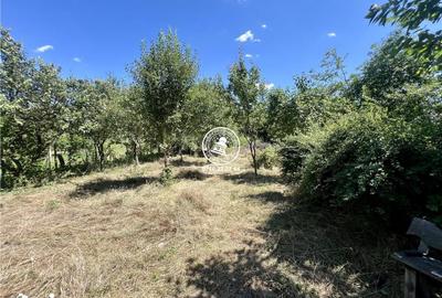 Casă cu 2 camere cu Teren 1940 Mp în Ciurea - 8