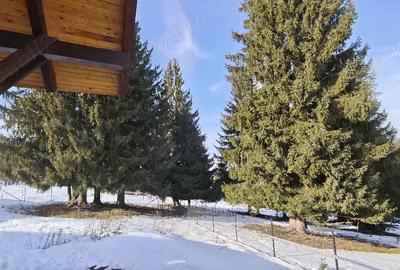 Casă cu Teren 984 Mp în Piatra - 5