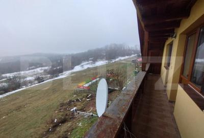 Villa, 500 mp, 7 camere, 3500 mp teren, zona Stramba - 17