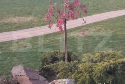 Casă cu 5 camere cu Teren 2743 Mp în Sud