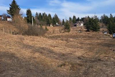 Teren de 18000 mp, în Prundu Bârgăului - 5
