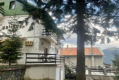 Hotel/Pensiune, 846 mp în Valea Alba
