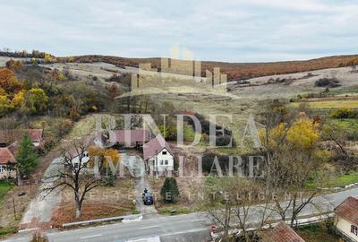 Oportunitate investitie: două reședințe de vacanță/ cabane 3940mp teren - 12