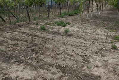 Teren de 2057 mp, în Central - 4