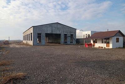 Spațiu comercial, de 4,800 mp, în Filiași - 3