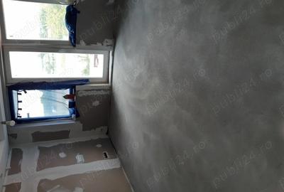 Casă cu 3 camere cu Teren 1501 Mp în Micula - 7