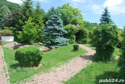 Casă în Topoloveni - 1