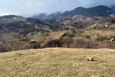 Vanzare Teren cu Punct de Belvedere in Moieciu zona Magura-Pestera - 8