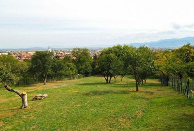 Spațiu comercial, în Codlea - 5