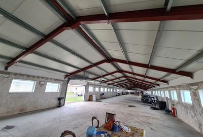Oportunitate Unica: Teren Intravilan cu Hală de productie și Casă Modernă - 6
