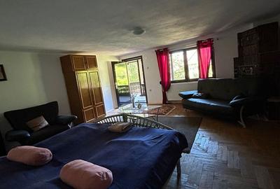 Casă cu 4 camere cu Teren 5146 Mp în Sălătrucu - 15