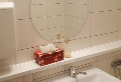 Garsoniera, 2 min de LIDL, Marius, Profi, Mega / statie RATB la scara, renovata - 3