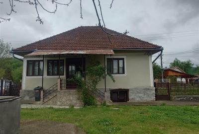 Casă cu 4 camere cu Teren 2651 Mp în Rișculița - 16
