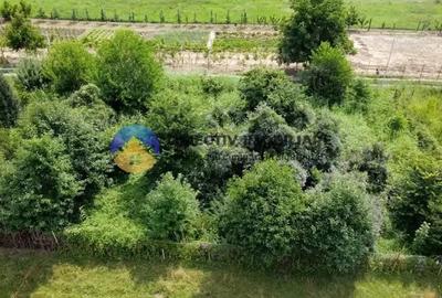 Teren intravilan com. Alexandru cel Bun- Viisoara - 9