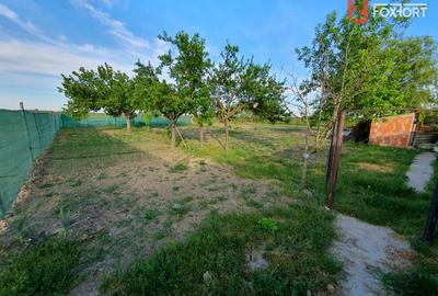 Casă individuală cu 5 camere cu Teren 1439 Mp în Giulvăz - 21