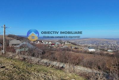 Teren intravilan DOBRENI - 1