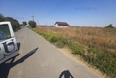 Teren pentru case in 1 Decembrie - 9