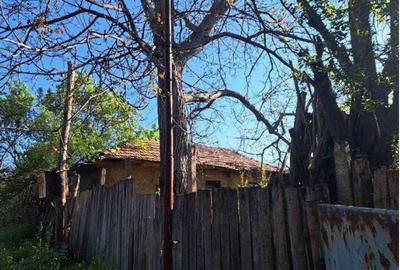 Casă cu 3 camere cu Teren 1853 Mp în Rogova - 3