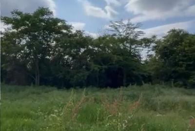 Teren de 600 mp, în Sisești - 3