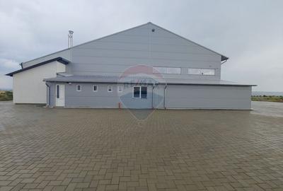 Spatiu industrial-depozit de 1120mp de inchiriat in Dumbraveni, SV - 1