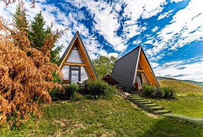 Vila turistica cu 8 camere + casute A-frame, teren 5575 mp Calimanesti, VL - 13