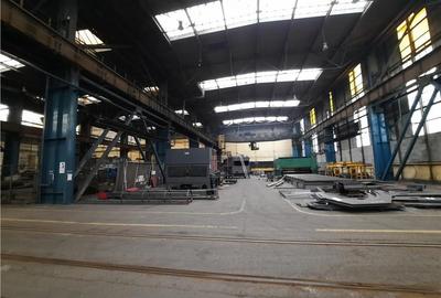 Spatiu Industrial, Clasa B, 5000 mp, Craiova - 7