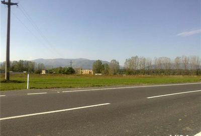 Teren de 8700 mp, în Veștem - 4