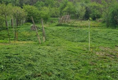 Casă cu 3 camere în Central - 2