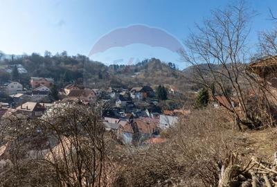 Casă cu 2 camere cu Teren 620 Mp în Schei - 19