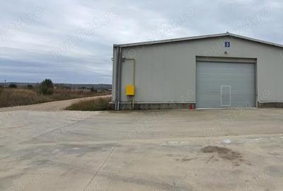 Spațiu comercial, de 1,000 mp, în Sântimbru - 4