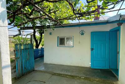 Casa de vanzare cu acces la Bra?ul Borcea, Bordu?ani - 4