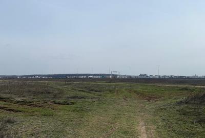 Teren Construcții intravilan de 7500 mp, în Voluntari - 5