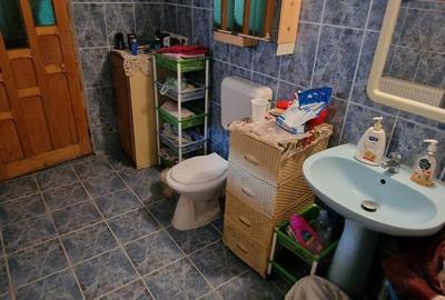 De vanzare casa Carani + teren 2085 mp- 697 - 12