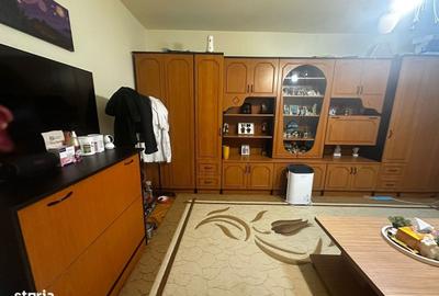 Apartament cu 2 camere decomandat în Remetea - 5