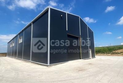 Valea Lupului - Metro, hala constructie noua, 582mp utili - 5
