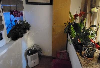 Vand Garsoniera -Cetate - 9