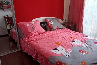 Apartament cu 3 camere semidecomandat, mobilat în Iancului - 17
