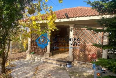 Vila Mineri, D+P+1, teren 1600 mp - 10