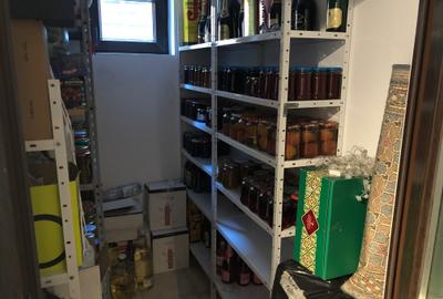Vila pretabila Locuit/Afacere, S+P+1E+M, 450 mp, teren 800 mp - 19