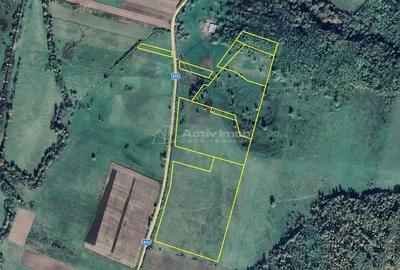 Teren de 127500 mp, în Forotic - 3