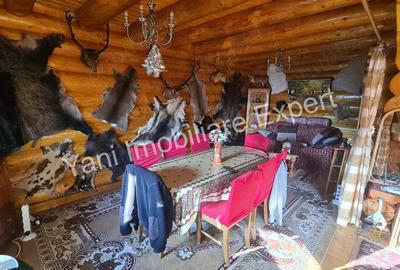 Casa de vacan?a de vanzare pe Valea Valsanului, in comuna Bradule?, sat Bradetu, jude? Arge?. - 1