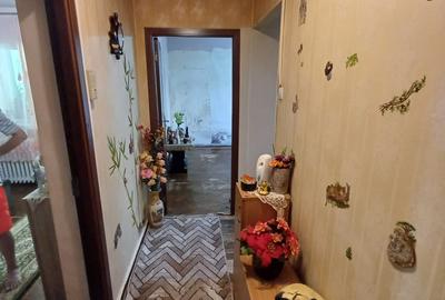 BERCENI OBREGIA TURNU MAGURELE - 10