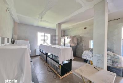 Spațiu comercial, de 470 mp, în Remetea - 3