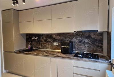 Inchiriere 2 camere Drumul Sarii - 6