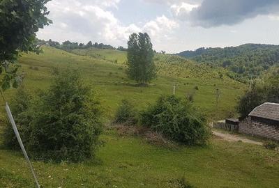 Teren de 1700 mp, în Pietroșița - 5