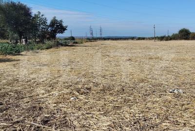 Teren Construcții intravilan de 2500 mp, în Exterior Nord - 2