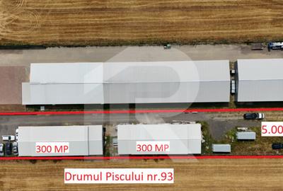 CIOLPANI Lot 5.000 MP - 1