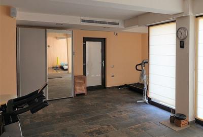 Casă individuală cu 7 camere cu Canalizare în Palazu Mare - 10