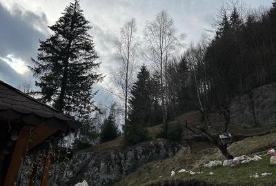 Teren de 6000 mp, în Dâmbovicioara - 10